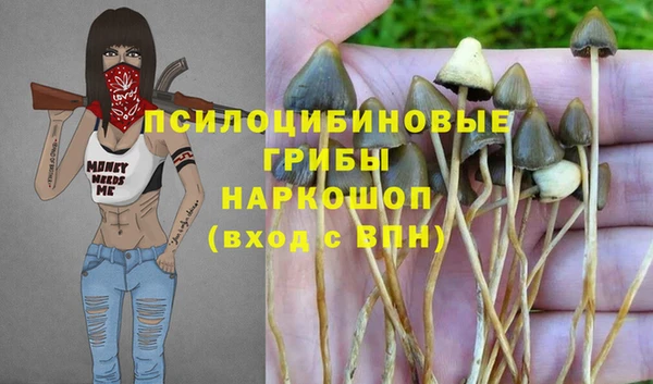 ALPHA PVP Балахна